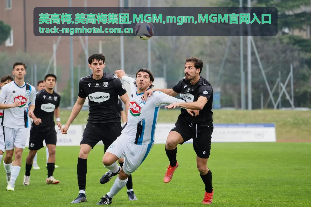 美高梅 MGM官网入口指南专题封面