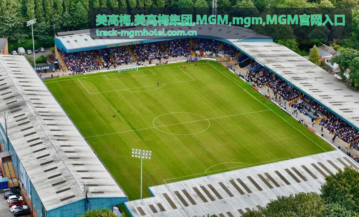 MGM mgm 入口说明移动端阅读